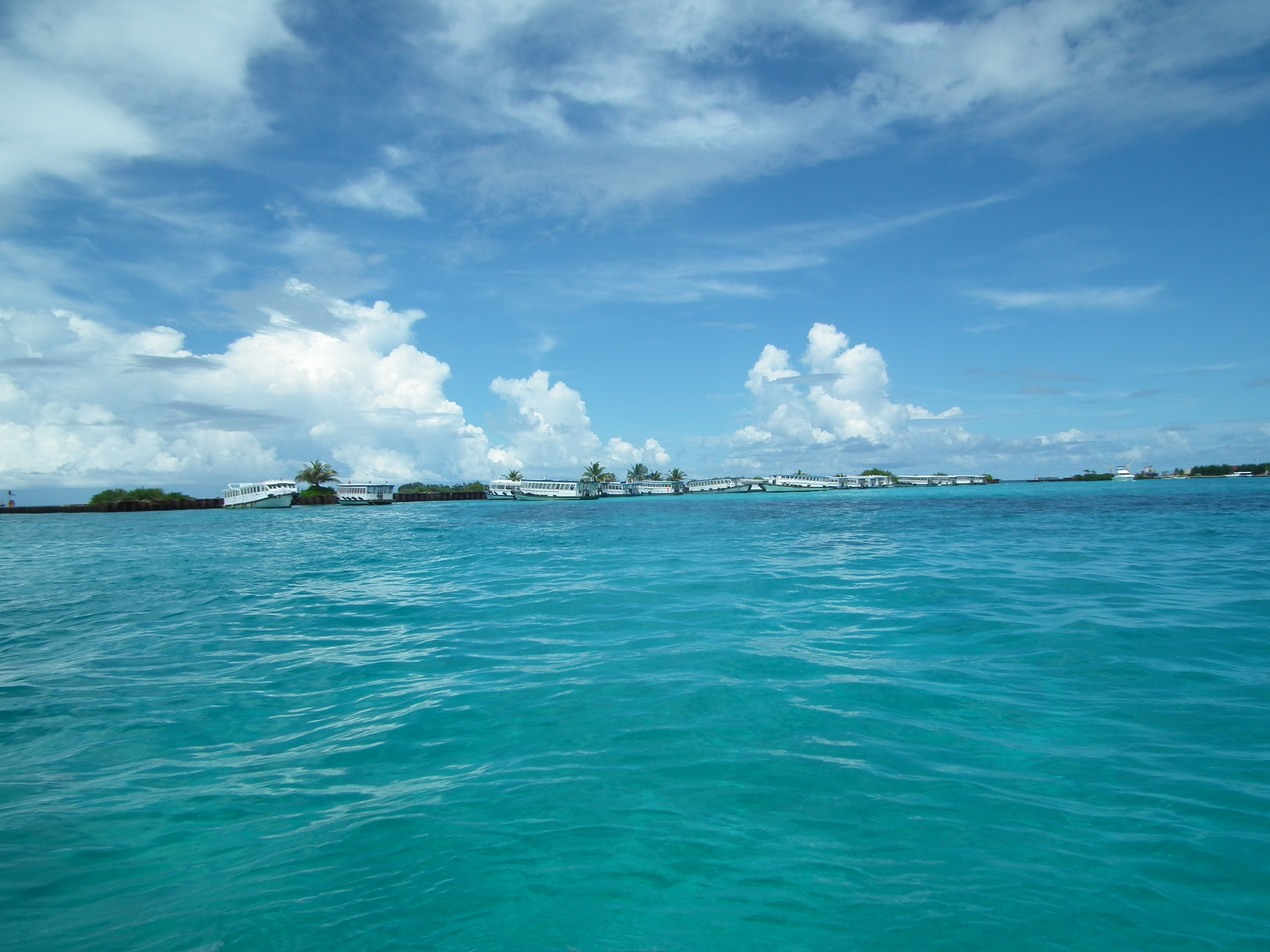 dscf1641.JPG