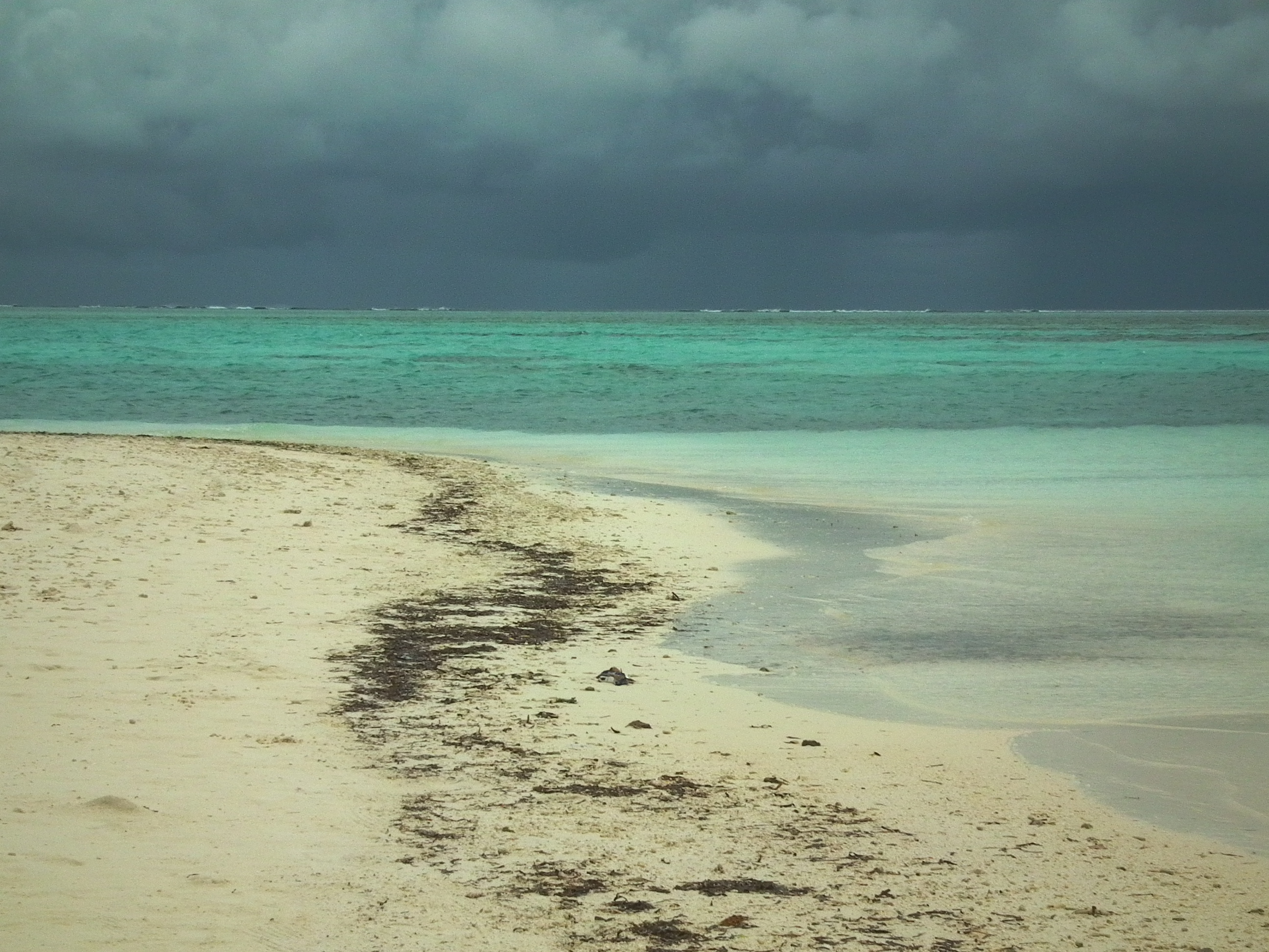 dscf1685.JPG