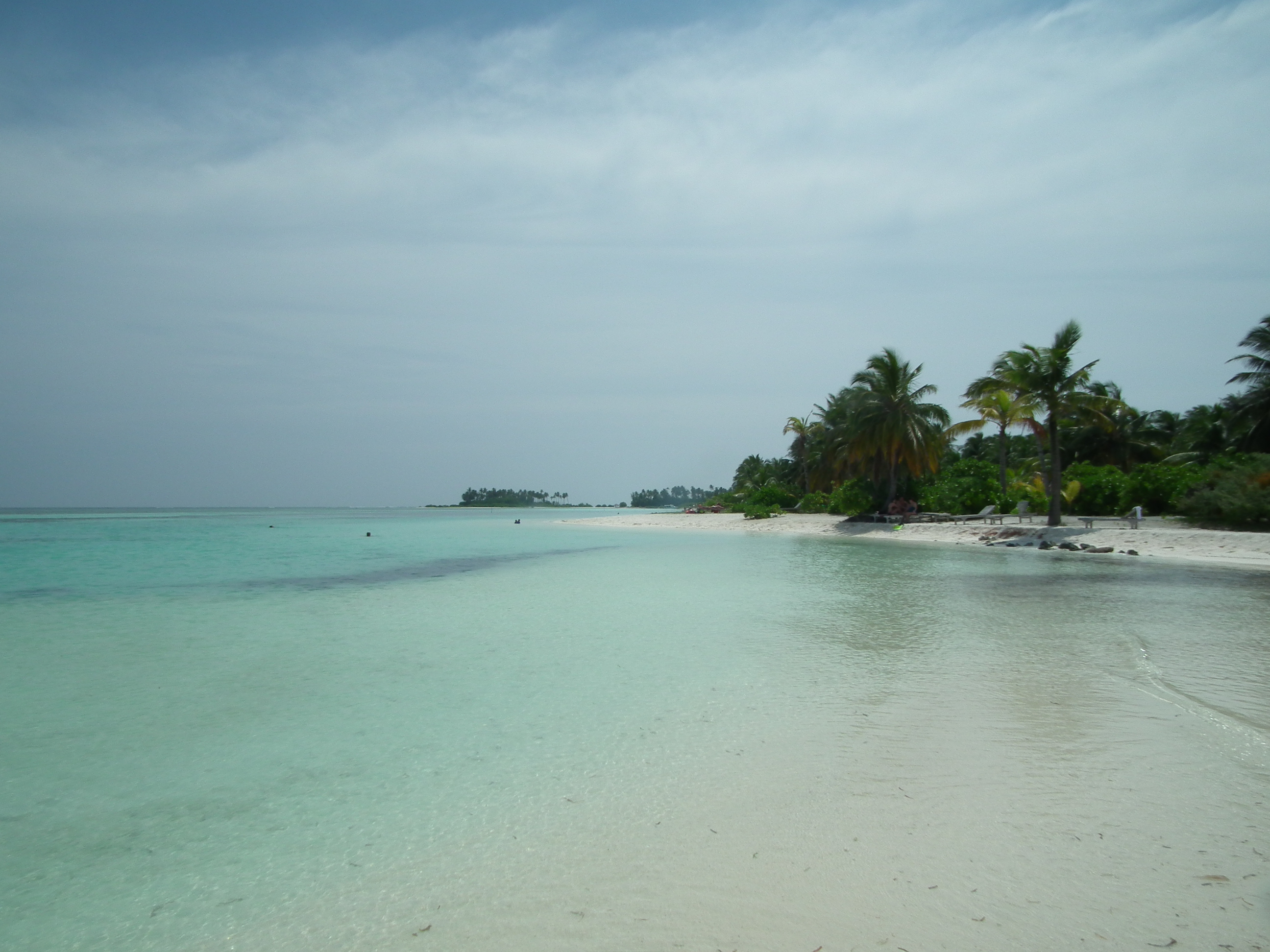 dscf1823.JPG