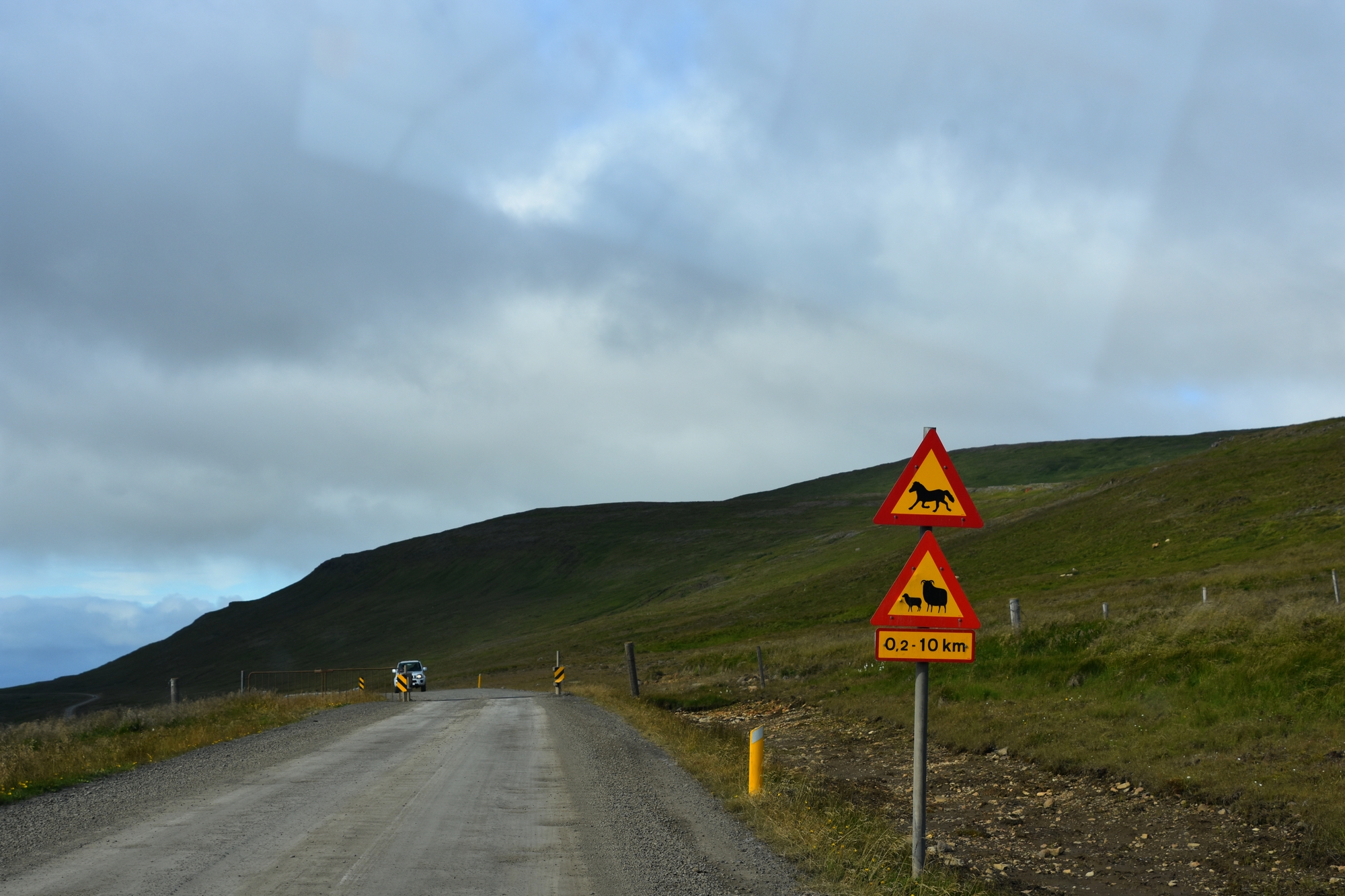 dsc_4451.JPG