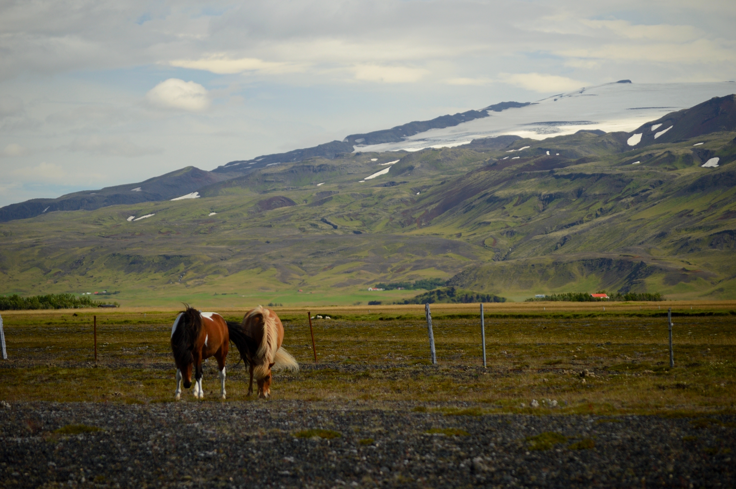 dsc_5240_2016072763255.JPG