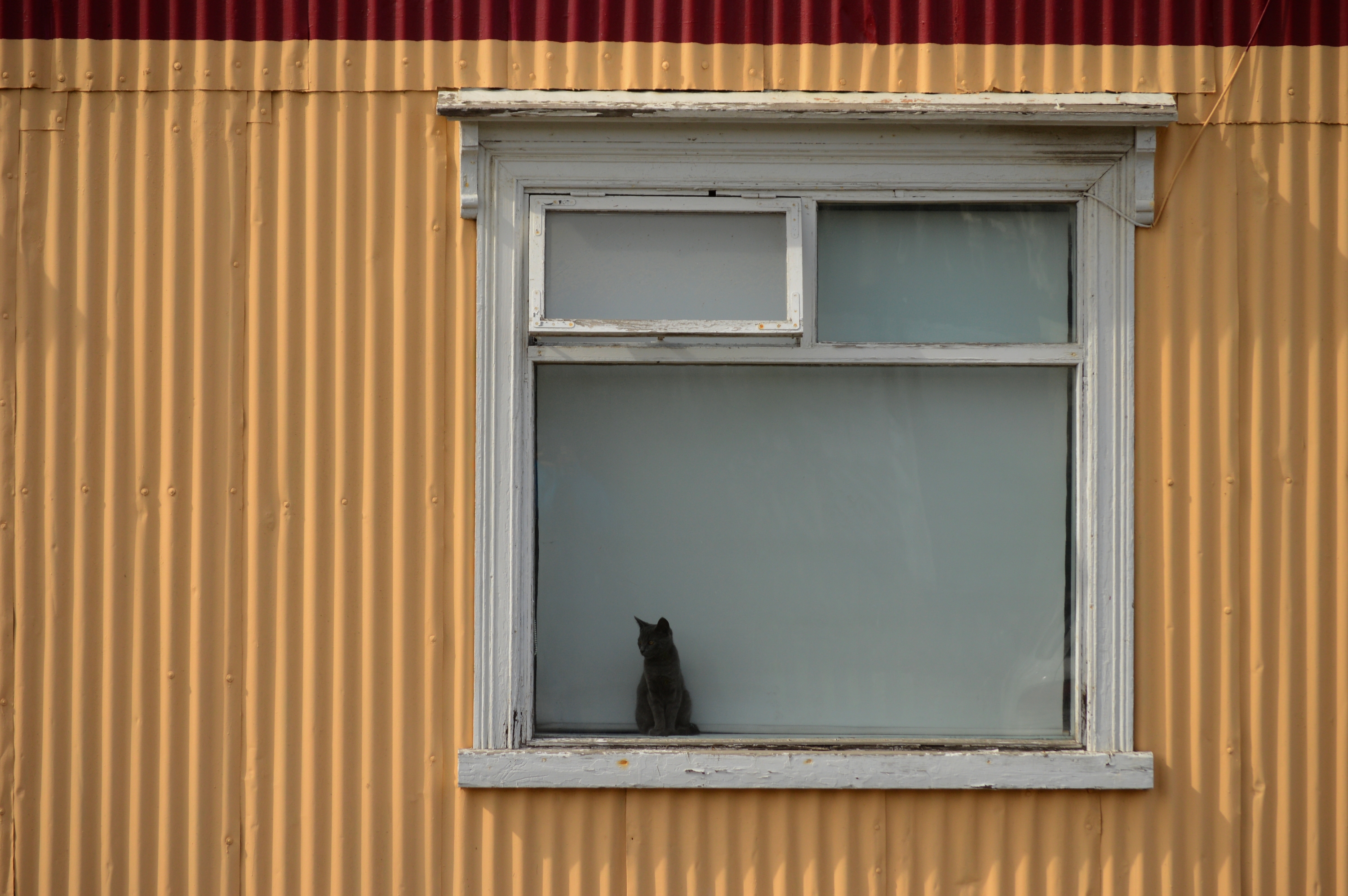 dsc_5999_2016072963932.JPG