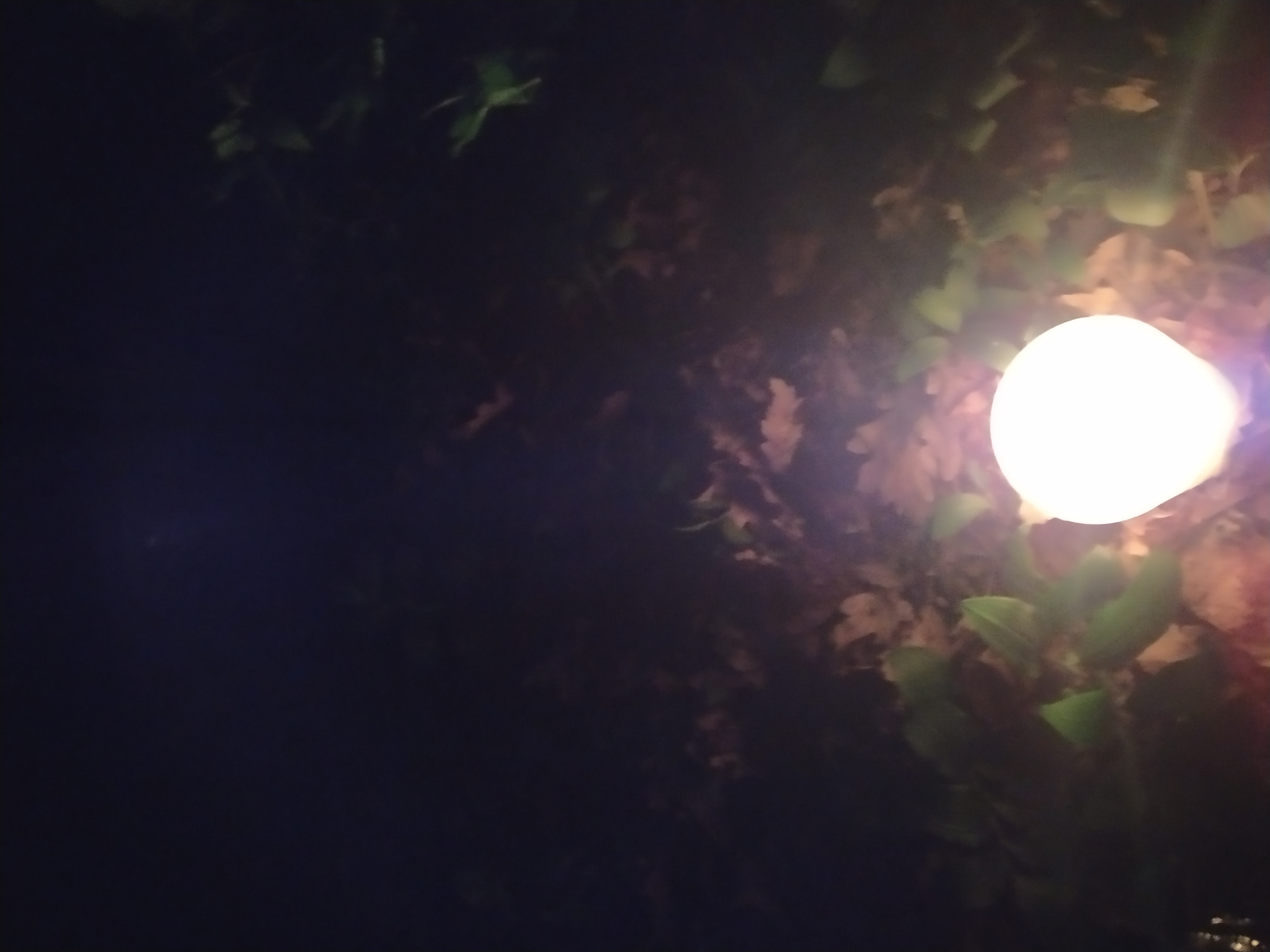 img_20200623_214124.jpg