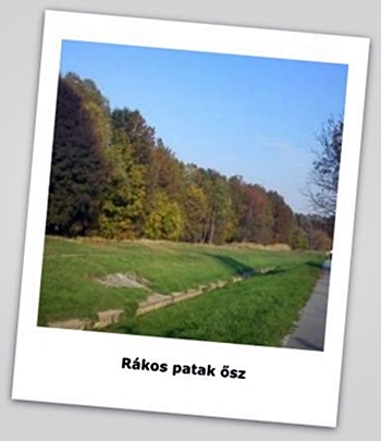 patak_osz_2.jpg