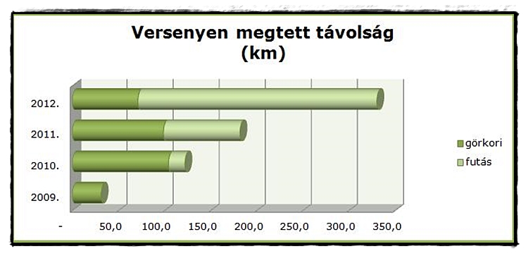 verseny_2013.jpg