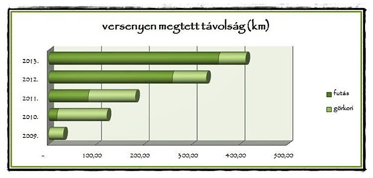 2013_verseny.jpg