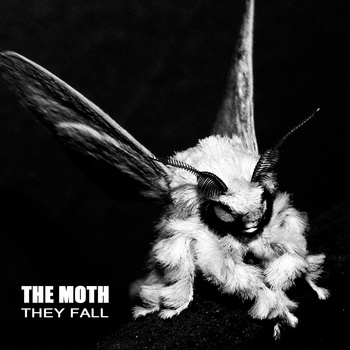 moth_theyfall.jpg