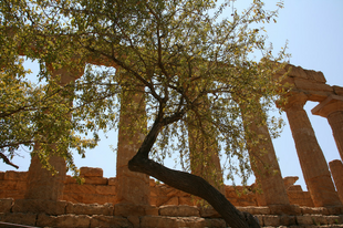 Templomok völgyében. Európai képeslapok