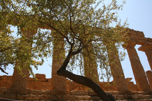 Templomok völgyében. Európai képeslapok