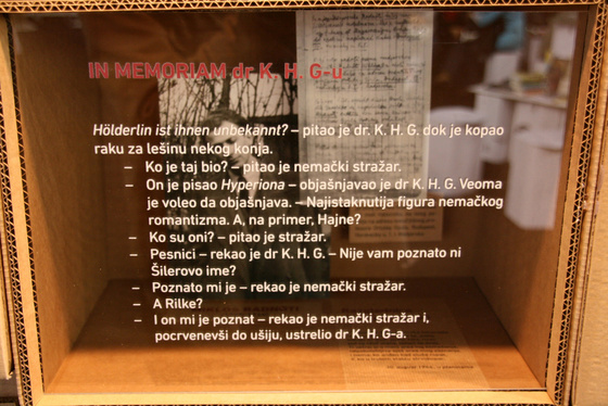 IMG 7079