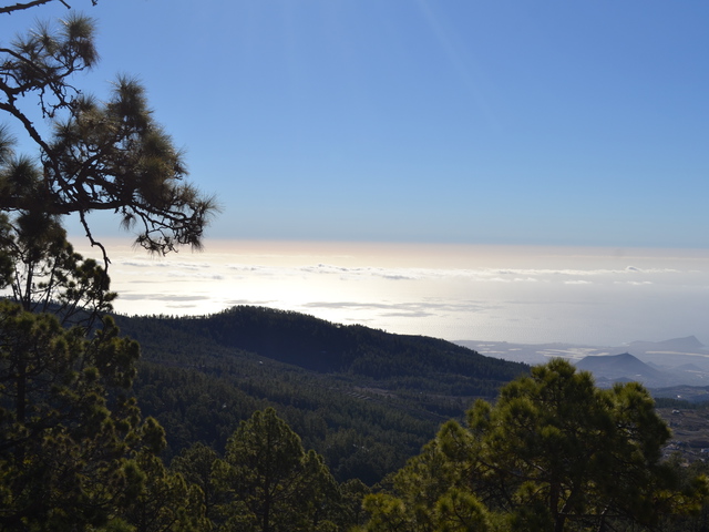 Hátizsákkal Tenerifén, avagy hosszú hétvége a Kanári-szigeteken 250€ alatt !!!