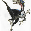 Karmos szupersztár- Velociraptor