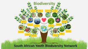 south_african_biodiversity.jpg