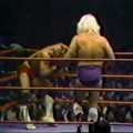 Ric Flair V. (1985)