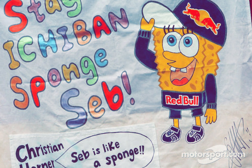 sponge_vettel.jpg