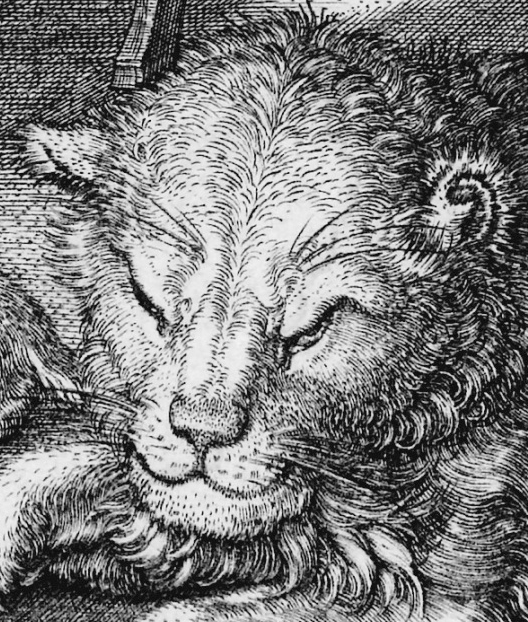 durer-hieronymus-im-geh_us-detail2.png