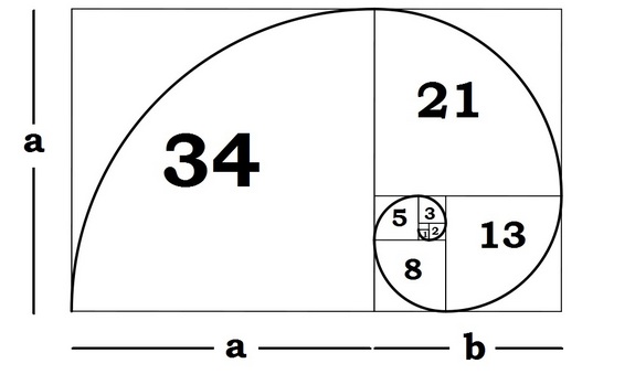 golden-ratio.jpg