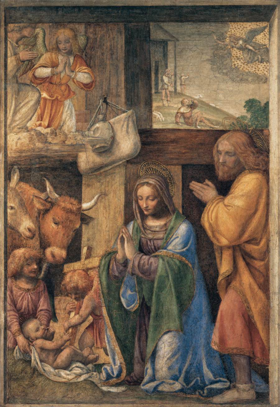 luini-nativity-1520-25.jpg