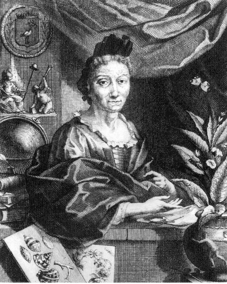 merian_portrait.jpg