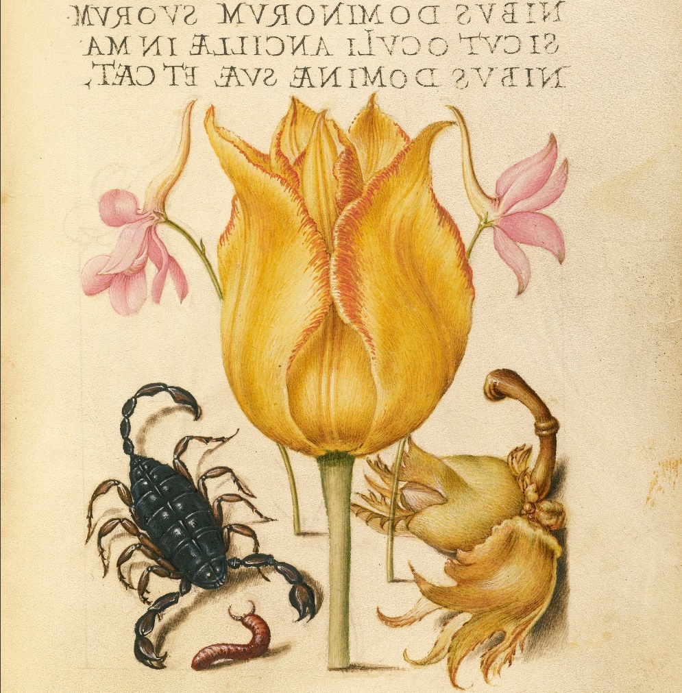 miracaligraphiaemonumenta-folio-053.jpg
