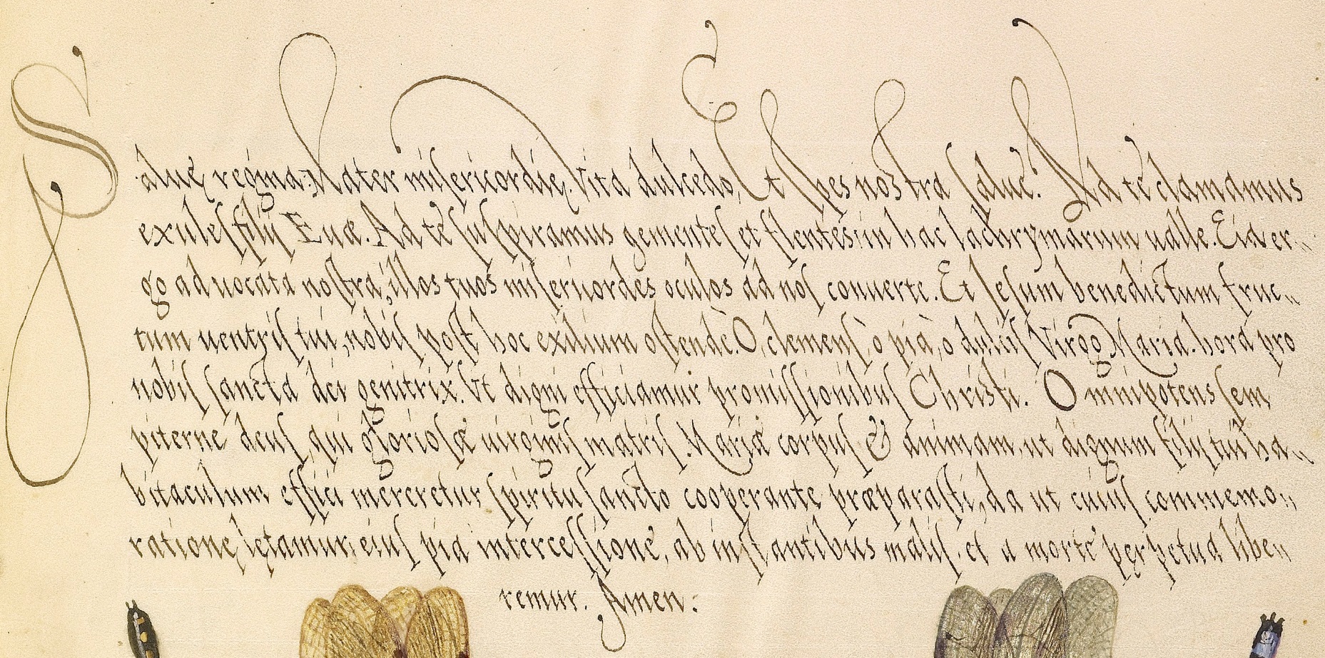 miracaligraphiaemonumenta-folio-065.jpg