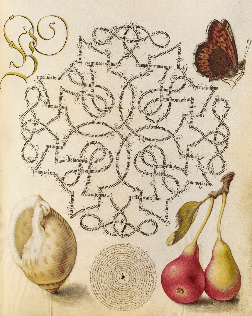 miracaligraphiaemonumenta-folio-118.jpg