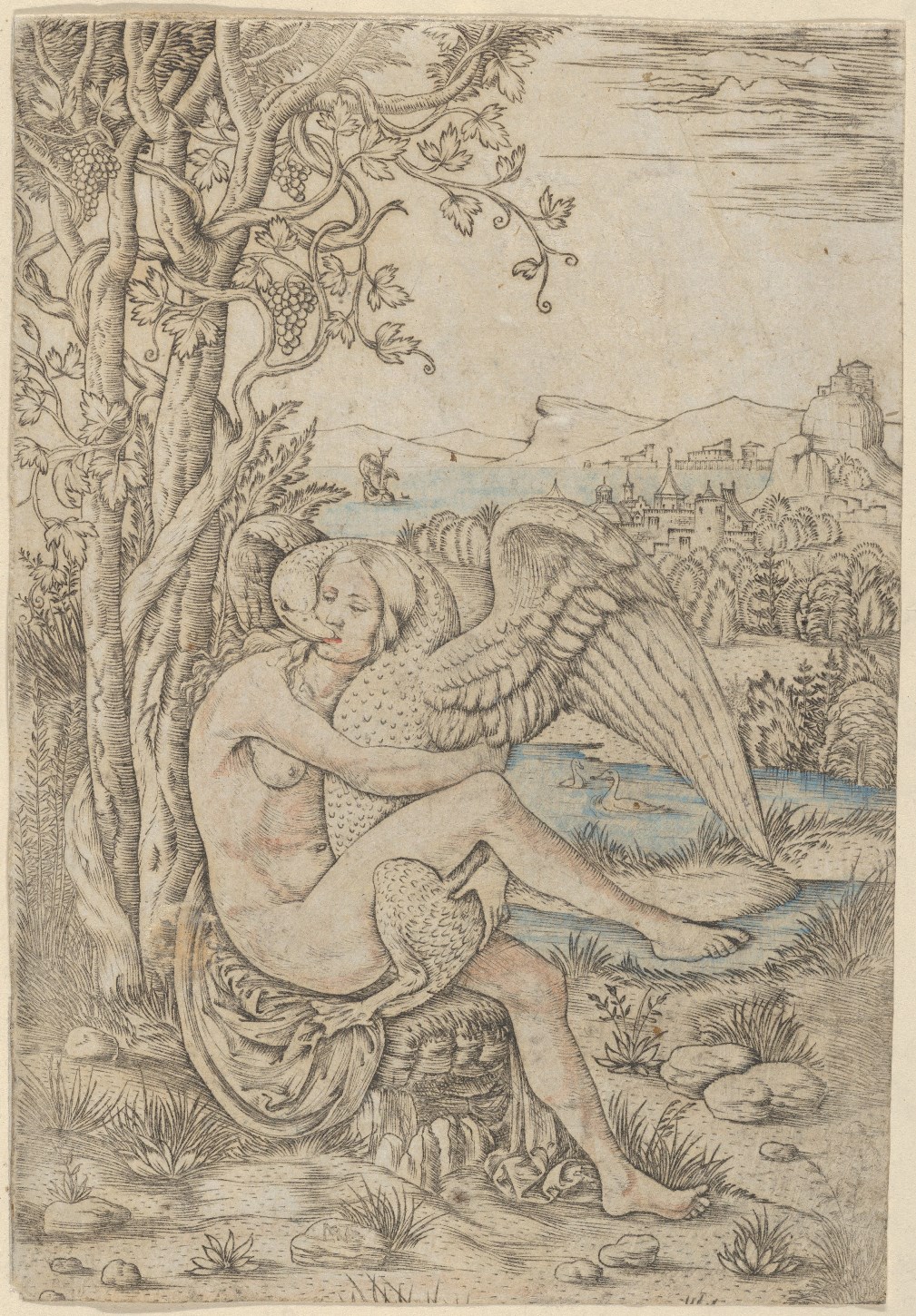 palumba-leda-1500-10.jpg