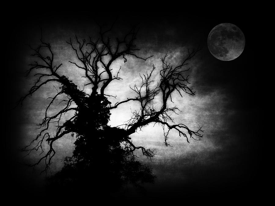 nightmare-tree-siobhan-brennan-raymond.jpg