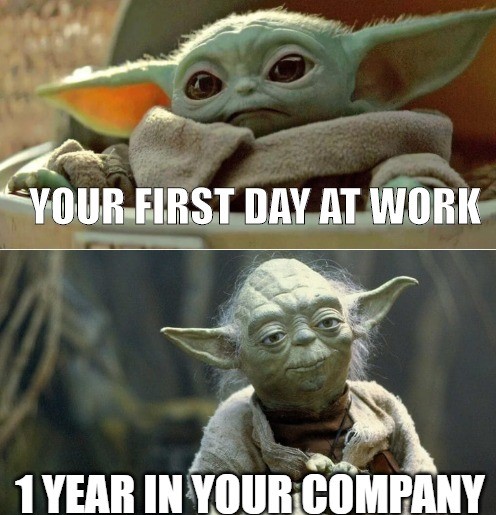 yoda.jpg