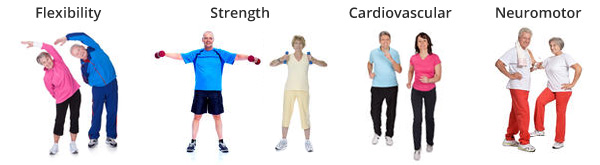 four-components-senior-fitness-training-programs.jpg