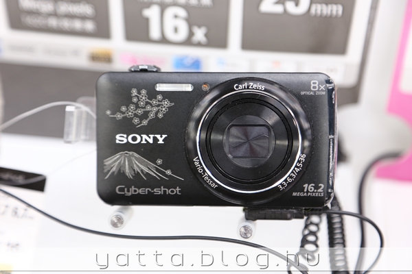 turistáknak ajánlott fényképezőgép, rajta kis cserivirág meg a Fuji