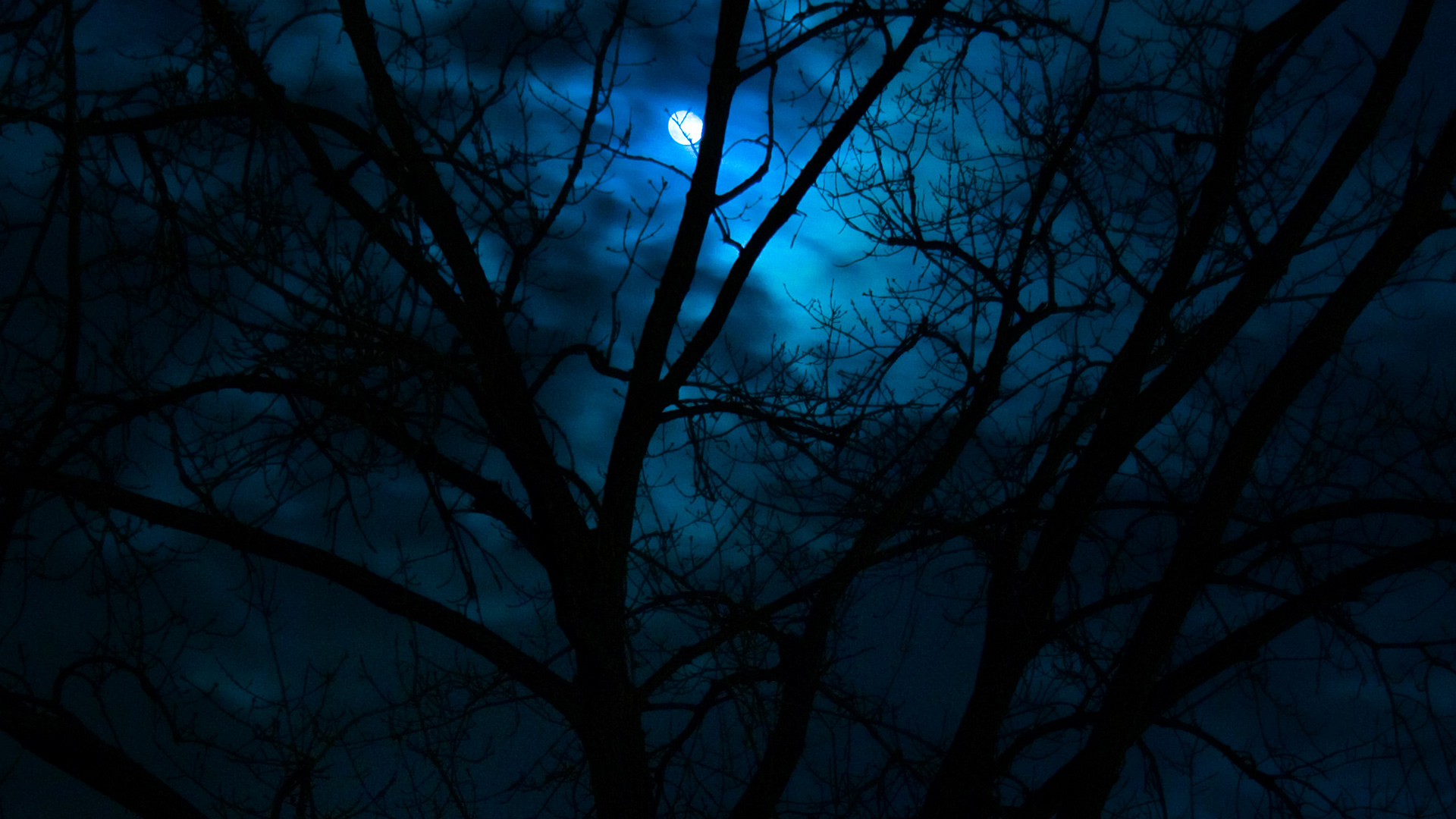 dark-forest-moon-wallpaper-4.jpg