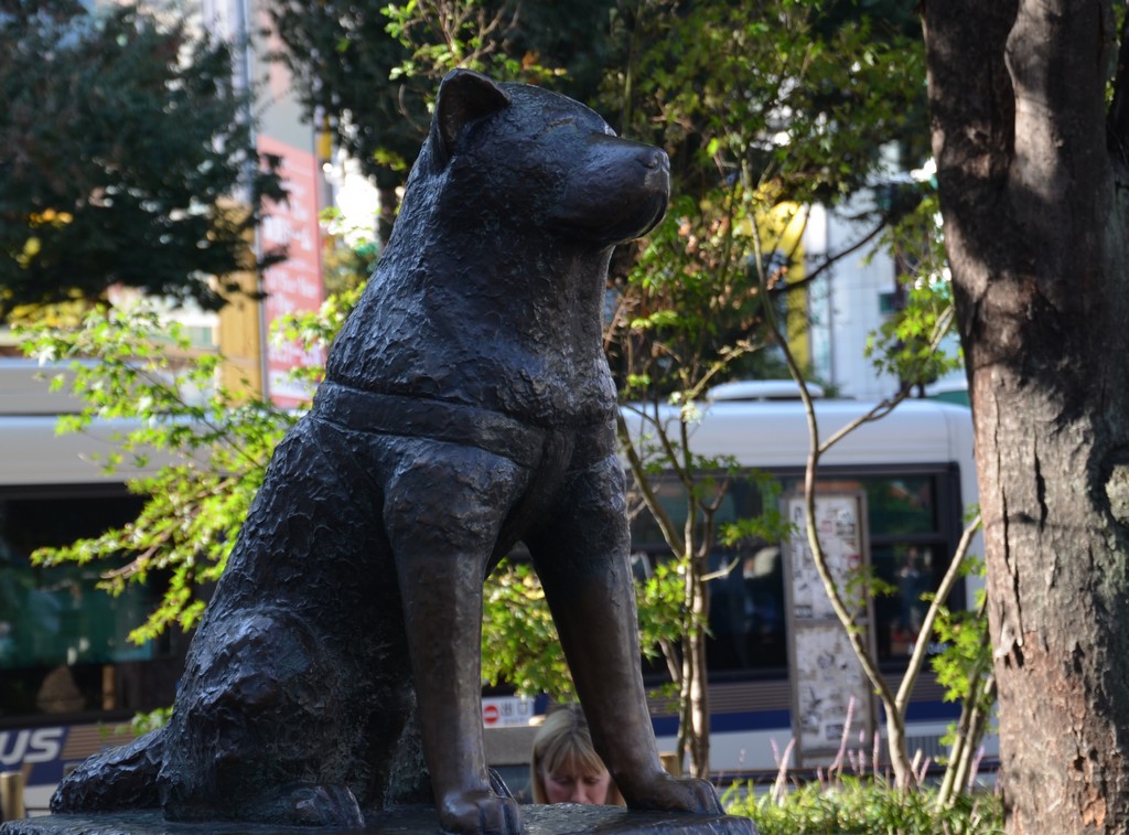 Hachiko Shibuyan