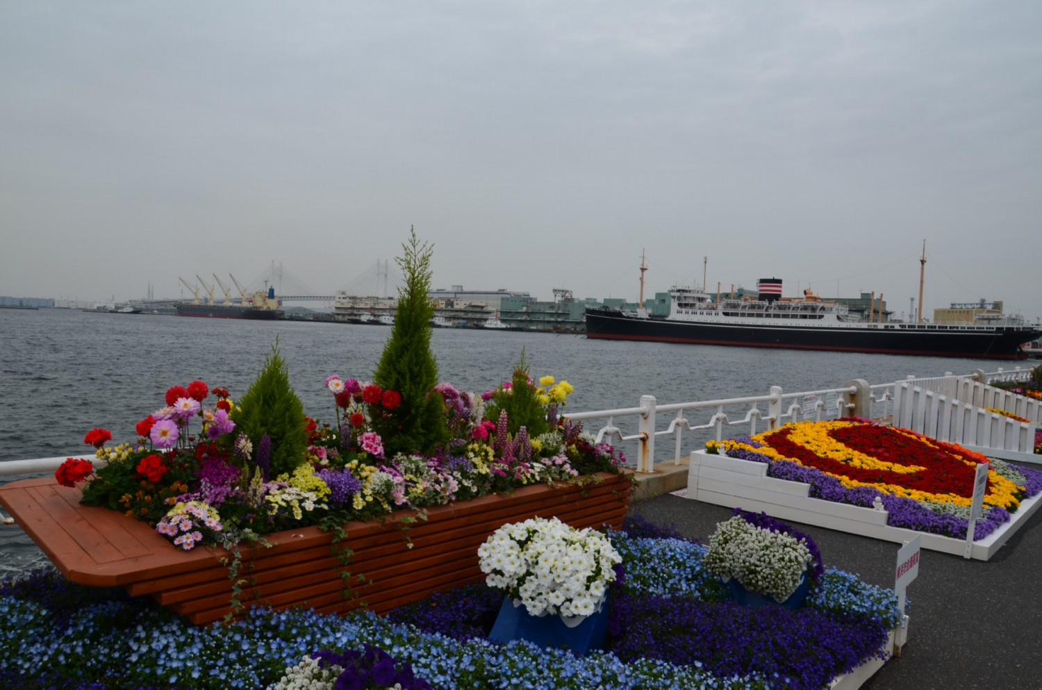 Hatterben a Hikawa Maru.