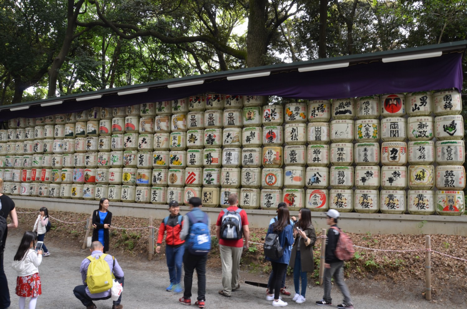 Szakeval toltott hordokat minden evben a  Meiji Jingu Orszagos Szakegyarto Egyesulet ajanlja fel Meiji csaszar es Shoken csaszarno emlekere.<br />Minden hordo szalmaval van boritva es egyedileg kifestve.