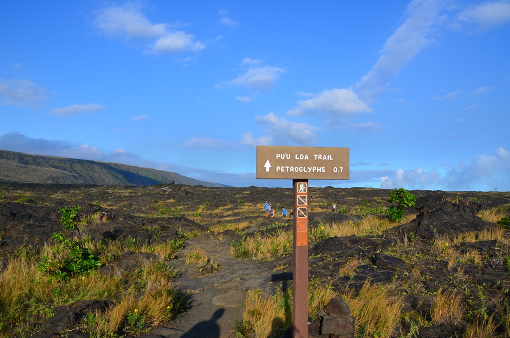 Petroglyphs Trail ( Petroglifa tura) 