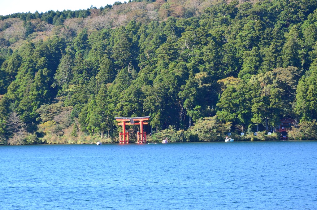 a vizben uszo Torii