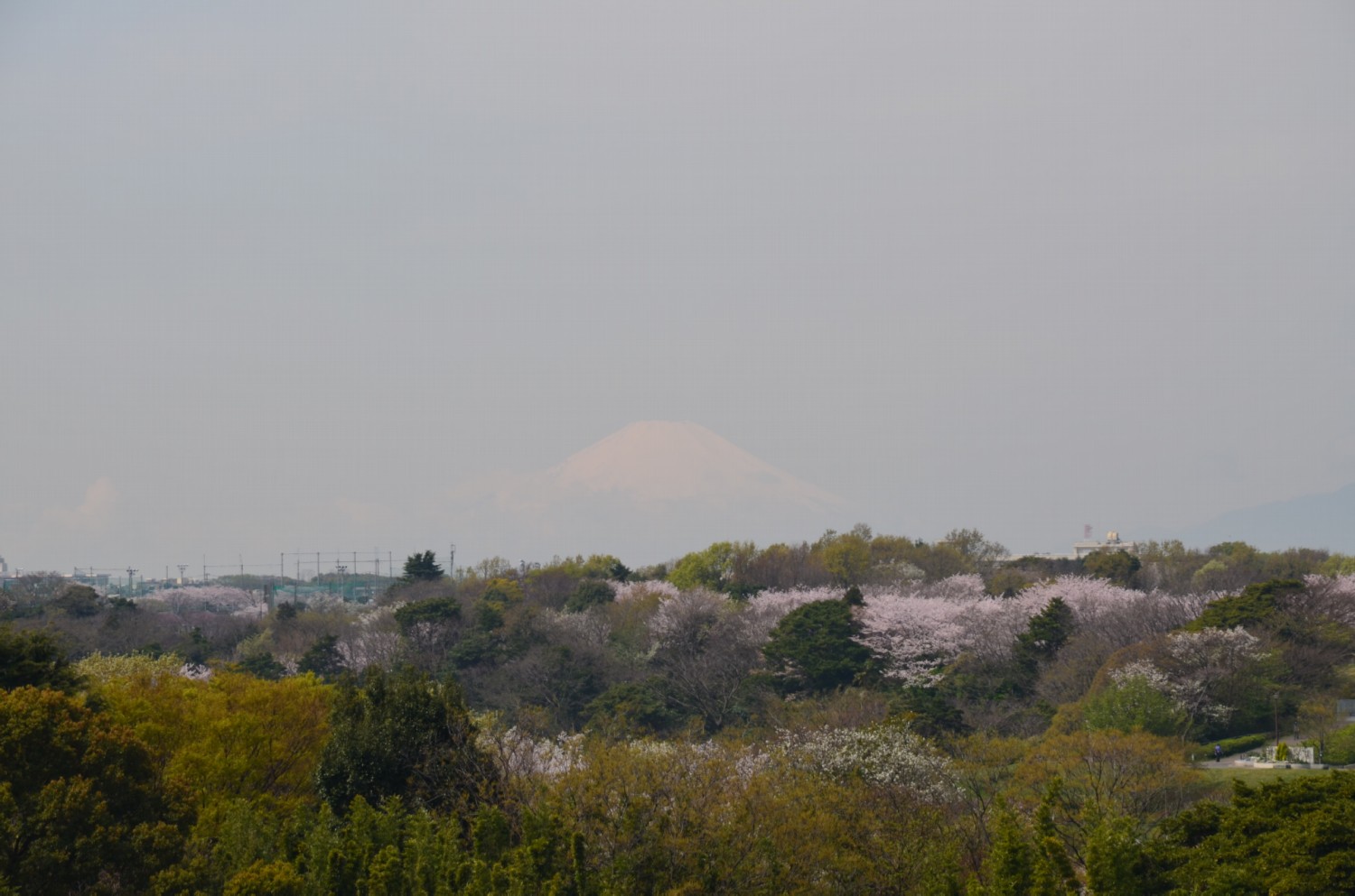 a Fuji aprilisban