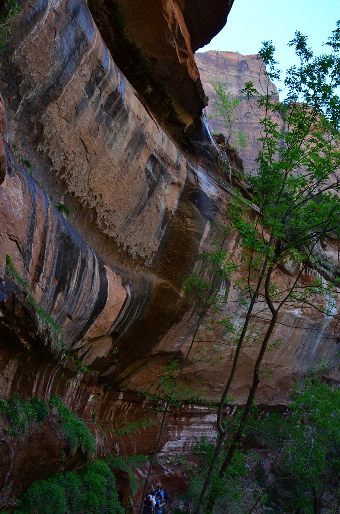 Weeping Rock