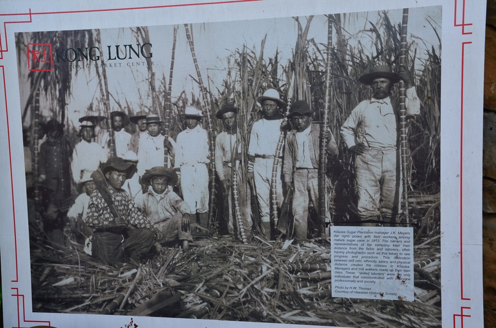 cukornad ultetvenyen dolgozo munkasok 1912-bol
