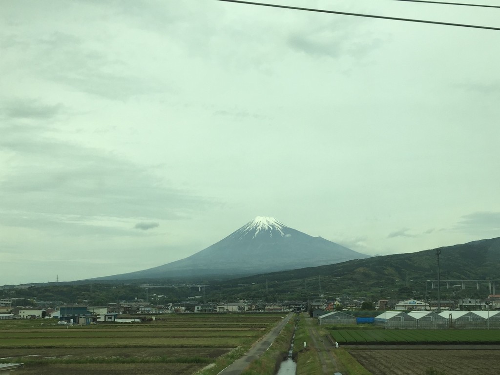 Fuji san