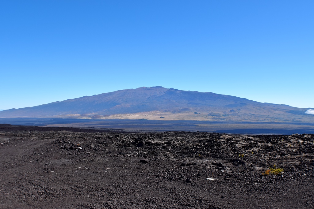 Mauna Loa