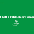 Miért kell a Földnek egy világnap?