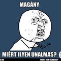 MAGÁNY