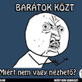 BARÁTOK KÖZT