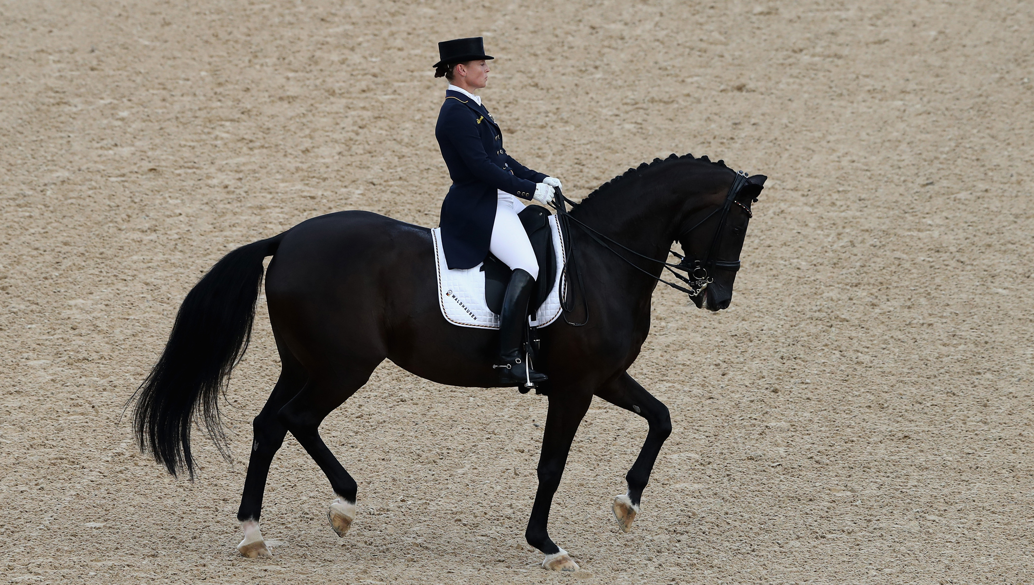 2016-08-12-dressage-thumbnail.jpg