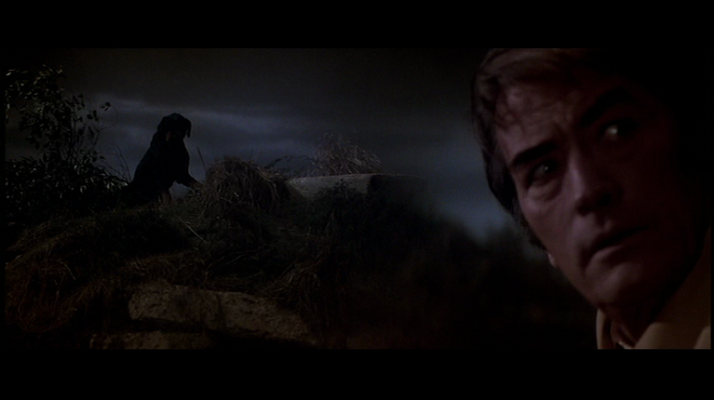 the-omen-1976-gregory-peck-david-warner-wild-dogs.png