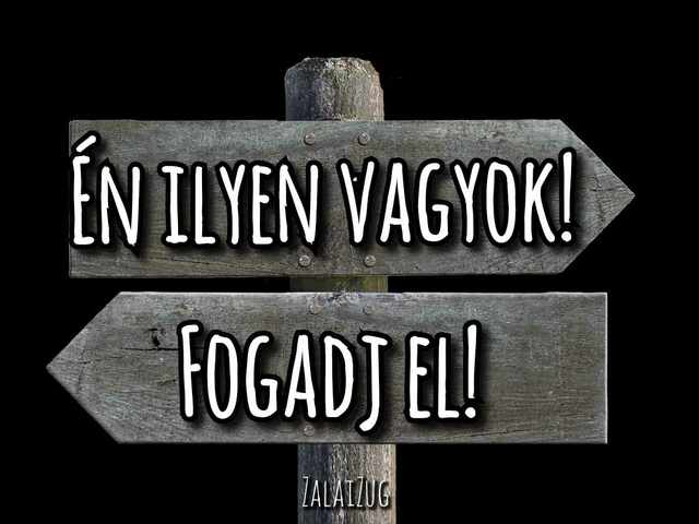 Én ilyen vagyok, fogadj el!