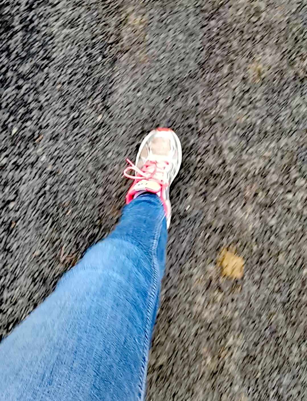 491269082_609750265435508_6084931957719184443_n.jpg