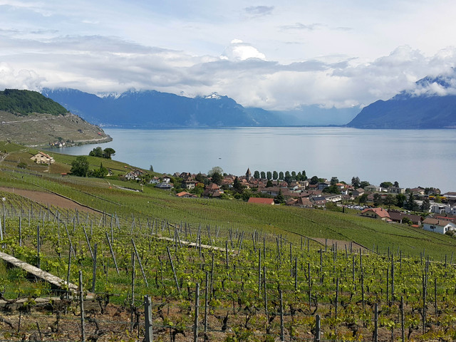 Szent Jakab útján - Swiss Route 9.Nap